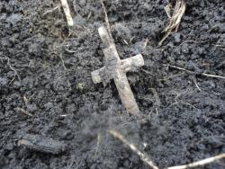 post-8735-0-76311300-1355141264_thumb.jp