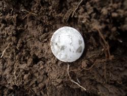 post-8735-0-77561100-1355141495_thumb.jp