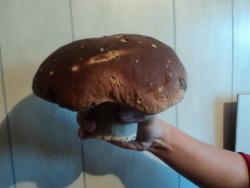 post-8735-0-91570100-1355141719_thumb.jp