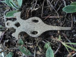 post-8735-0-99242200-1355141159_thumb.jp