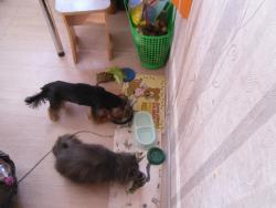 post-9966-0-38959400-1354939666_thumb.jp