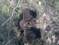 post-10214-0-08897200-1387539280_thumb.j