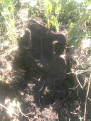 post-10214-0-46881100-1387539266_thumb.j