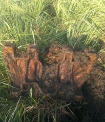 post-10214-0-68031000-1387539545_thumb.j