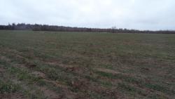 post-11080-0-01142700-1387736014_thumb.j