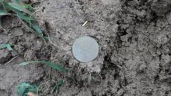 post-11080-0-29188000-1387736305_thumb.j