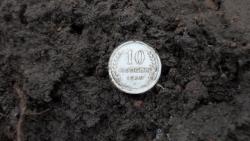 post-11080-0-39834000-1387736358_thumb.j