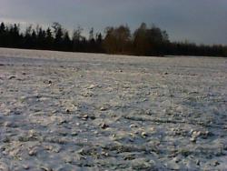 post-11080-0-40301100-1385906402_thumb.j