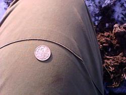 post-11080-0-47228800-1385906720_thumb.j