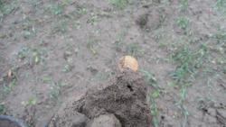 post-11080-0-90432800-1387736465_thumb.j