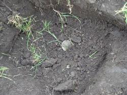 post-12373-0-30581400-1388042158_thumb.j