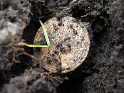 post-12373-0-57852600-1388041118_thumb.j