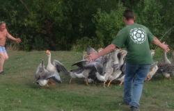 post-13076-0-14231900-1388091881_thumb.j