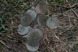 post-15874-0-71459900-1387984721_thumb.j