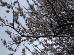 post-17309-0-18692500-1386424609_thumb.j