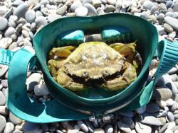 post-17309-0-29063100-1386424590_thumb.j