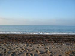 post-17309-0-33735600-1387708218_thumb.j