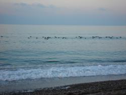 post-17309-0-57650700-1387708190_thumb.j