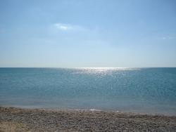 post-17309-0-69306000-1386424584_thumb.j