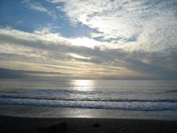 post-17309-0-73772400-1386424597_thumb.j