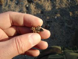 post-17309-0-91367600-1387708198_thumb.j