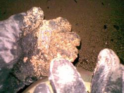 post-17309-0-92804200-1386833357_thumb.j