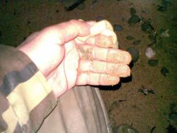 post-17309-0-98598000-1386443783_thumb.j