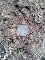 post-17557-0-91060800-1385914560_thumb.j