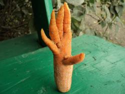 post-20911-0-31924200-1387906738_thumb.j