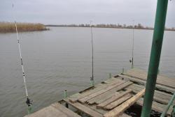 post-22801-0-86198000-1388429389_thumb.j