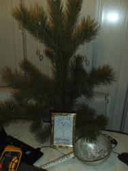 post-24709-0-63709800-1388231668_thumb.j