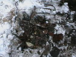 post-27393-0-06678400-1386441661_thumb.j