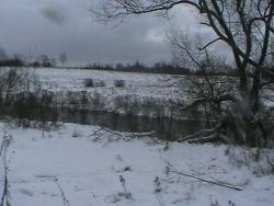 post-27393-0-48579400-1386441736_thumb.j