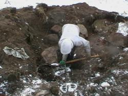 post-27393-0-61058700-1386441677_thumb.j