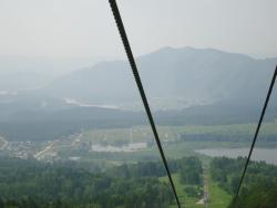 post-27646-0-99498500-1386119811_thumb.j