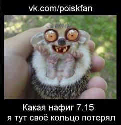 post-2838-0-97443400-1386161903_thumb.jp