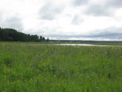 post-28774-0-72545400-1387102267_thumb.j