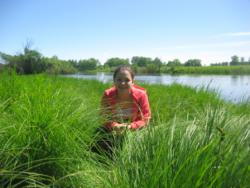 post-28774-0-85370900-1387102277_thumb.j