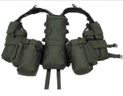 post-29656-0-89362800-1386419888_thumb.p