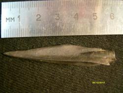 post-29766-0-88304900-1386528913_thumb.j