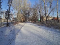 post-4485-0-98921300-1386596713_thumb.jp