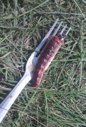 post-4840-0-22646400-1388158964_thumb.jp