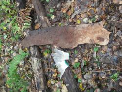 post-4998-0-07048500-1386925929_thumb.jp