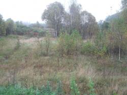 post-4998-0-09532800-1386925822_thumb.jp