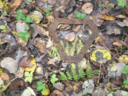 post-4998-0-50732400-1386926115_thumb.jp