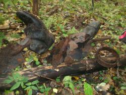 post-4998-0-71760000-1386925865_thumb.jp