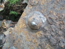 post-4998-0-93170300-1386925961_thumb.jp