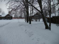 post-5088-0-88683100-1387826147_thumb.jp