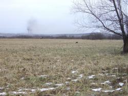 post-7090-0-41851900-1386295443_thumb.jp