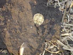 post-7090-0-47802600-1386491632_thumb.jp